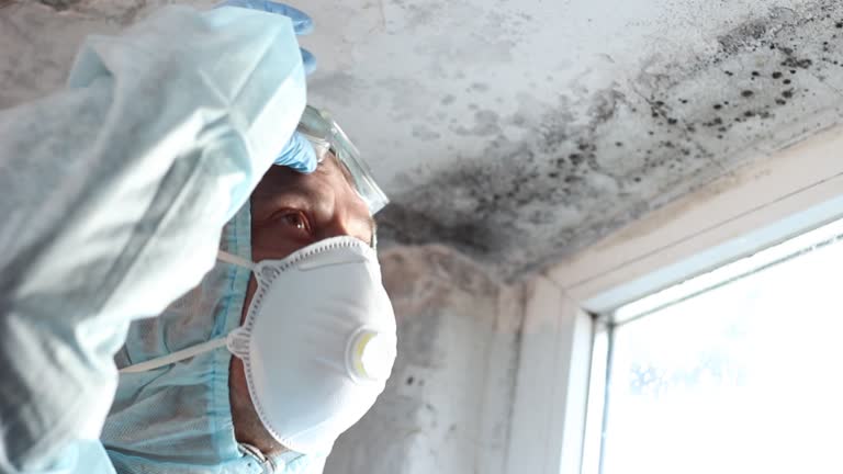 Why You Should Choose Our Mold Remediation Services in Parkland, FL